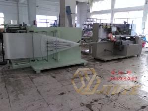 全自動單片干巾包裝機  干巾生產機器